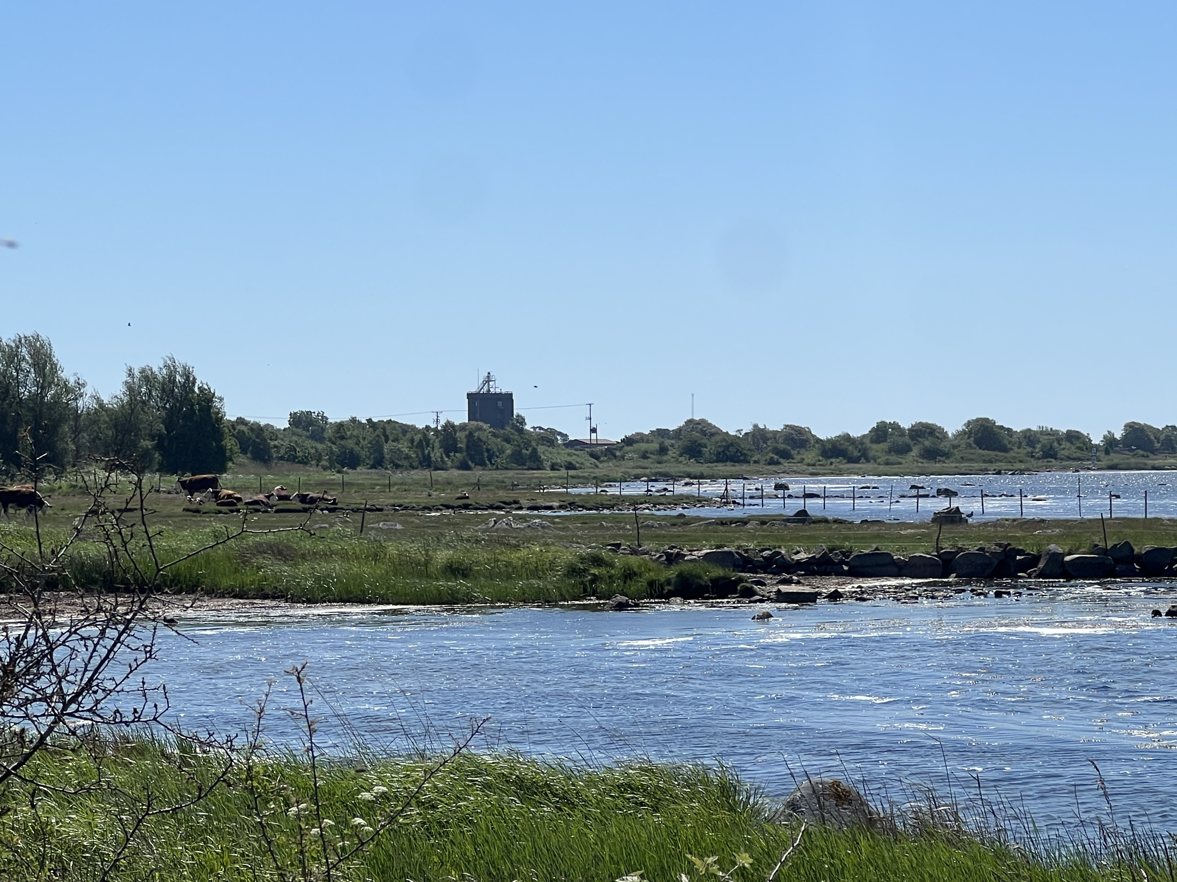 IMG_8809.jpg