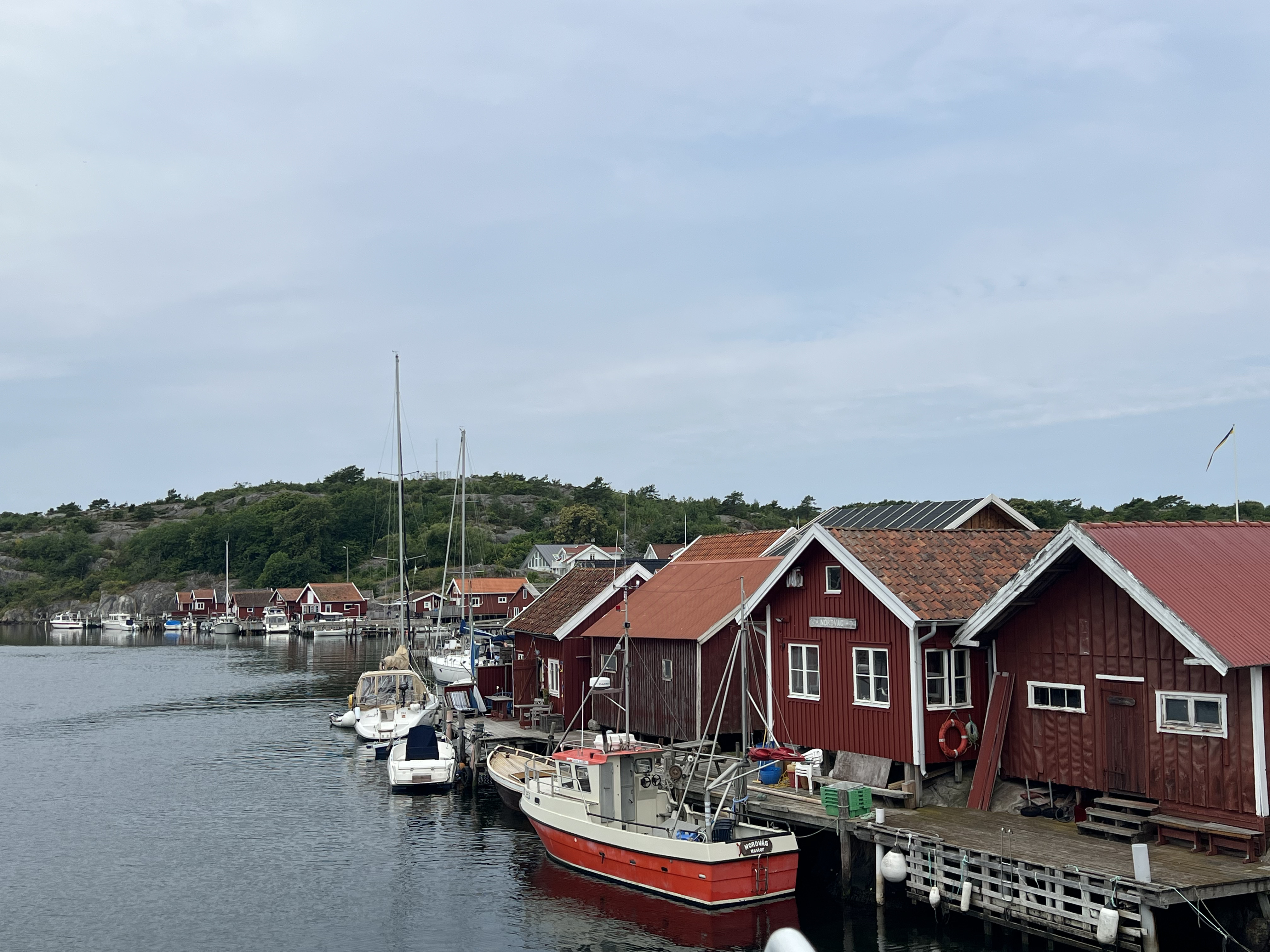 IMG_9401.jpg